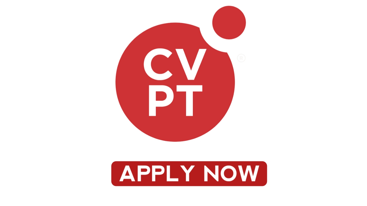 Sales Executive Job at CVPeople Tanzania