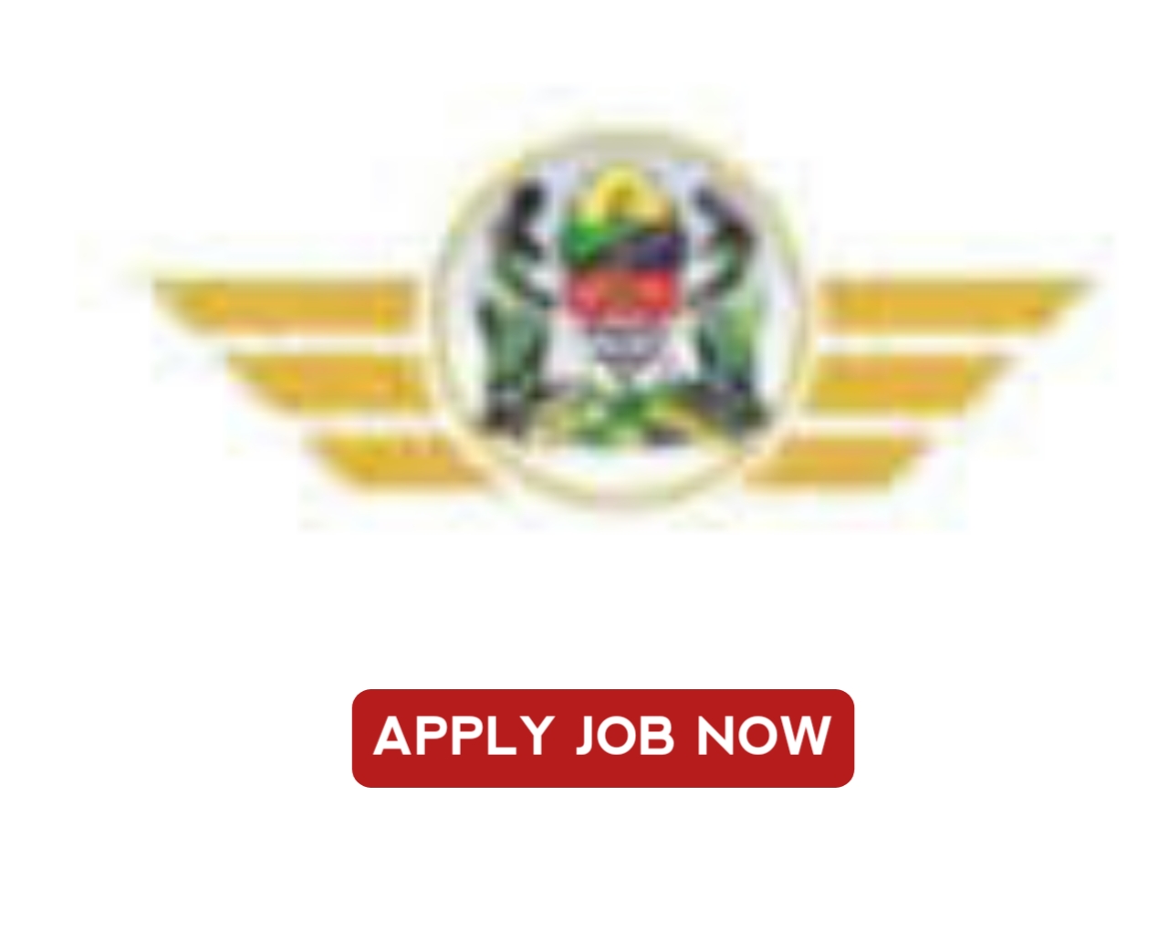 Senior Pilot Job vacancies at Tanzania Government Flight Agency (TGFA)