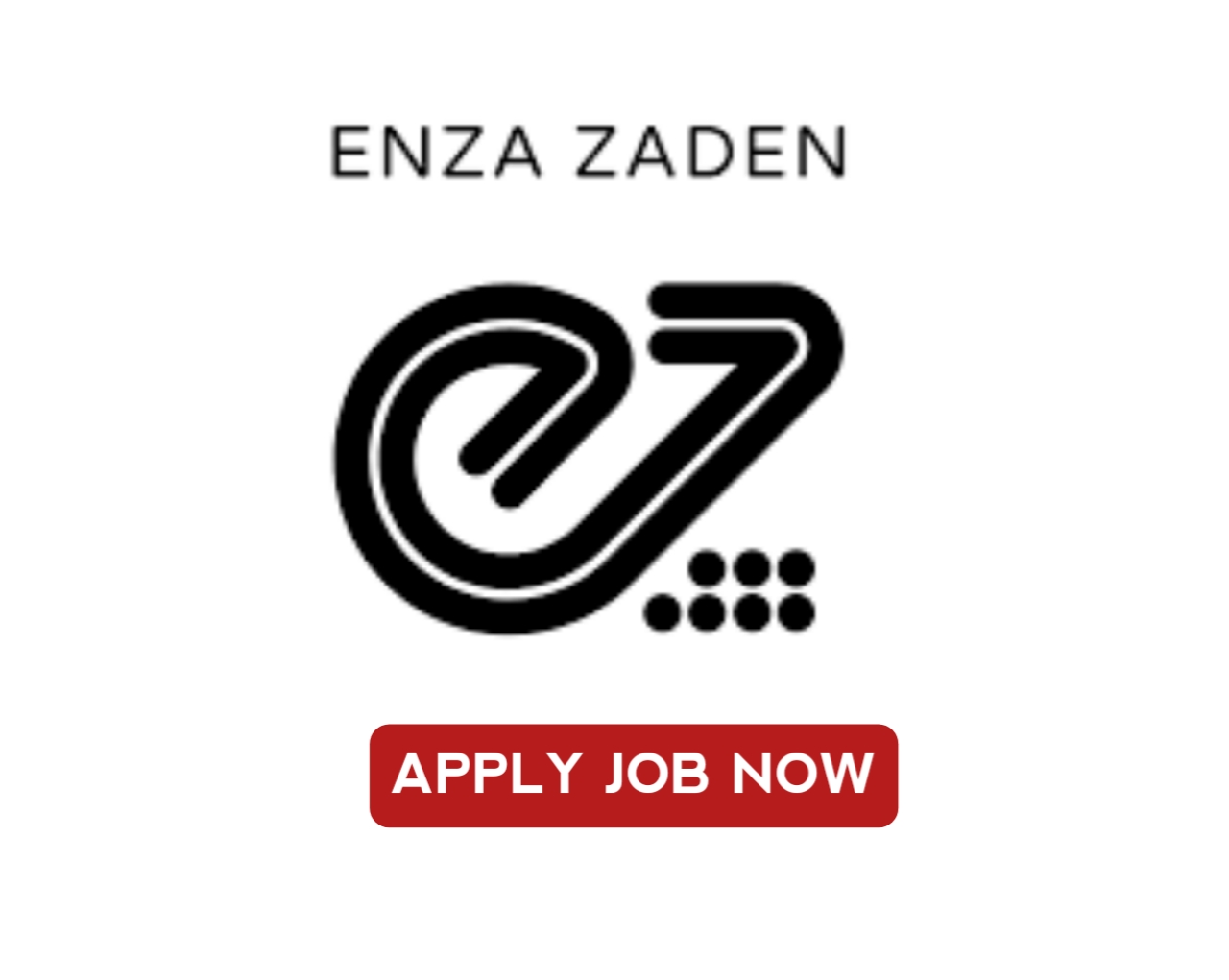 Technical Analyst Job vacancy at Enza Zaden Africa Ltd