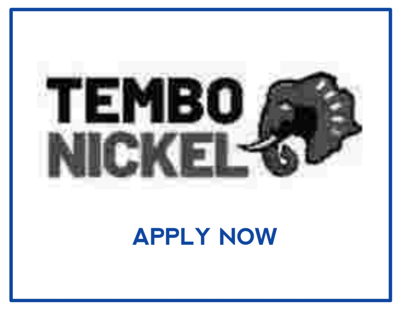 Finance lead Job vacancy at Tembo Nickel