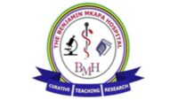 Benjamin Mkapa Hospital (BMH) Jobs