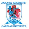 Jakaya Kikwete Cardiac Institute (JKCI) Jobs